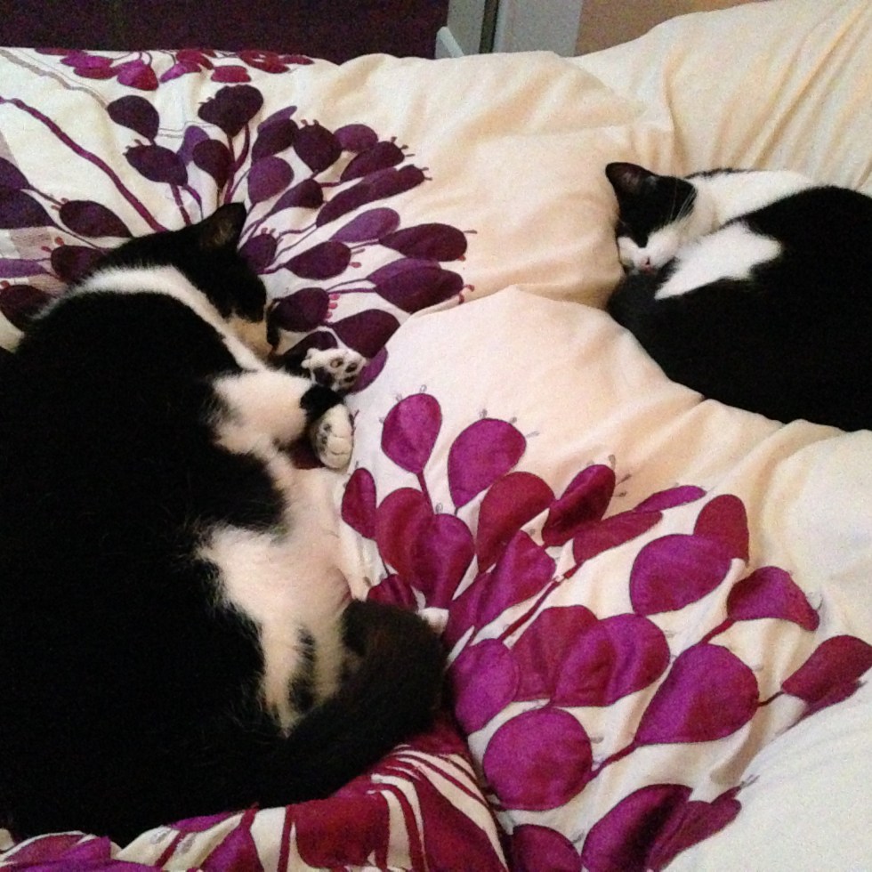 Jim and Ben Sound Asleep