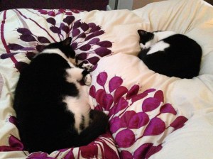 Jim and Ben Sound Asleep