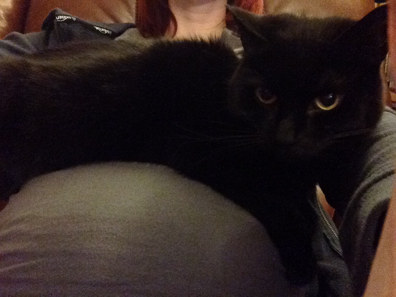 Rosie having bump cuddles